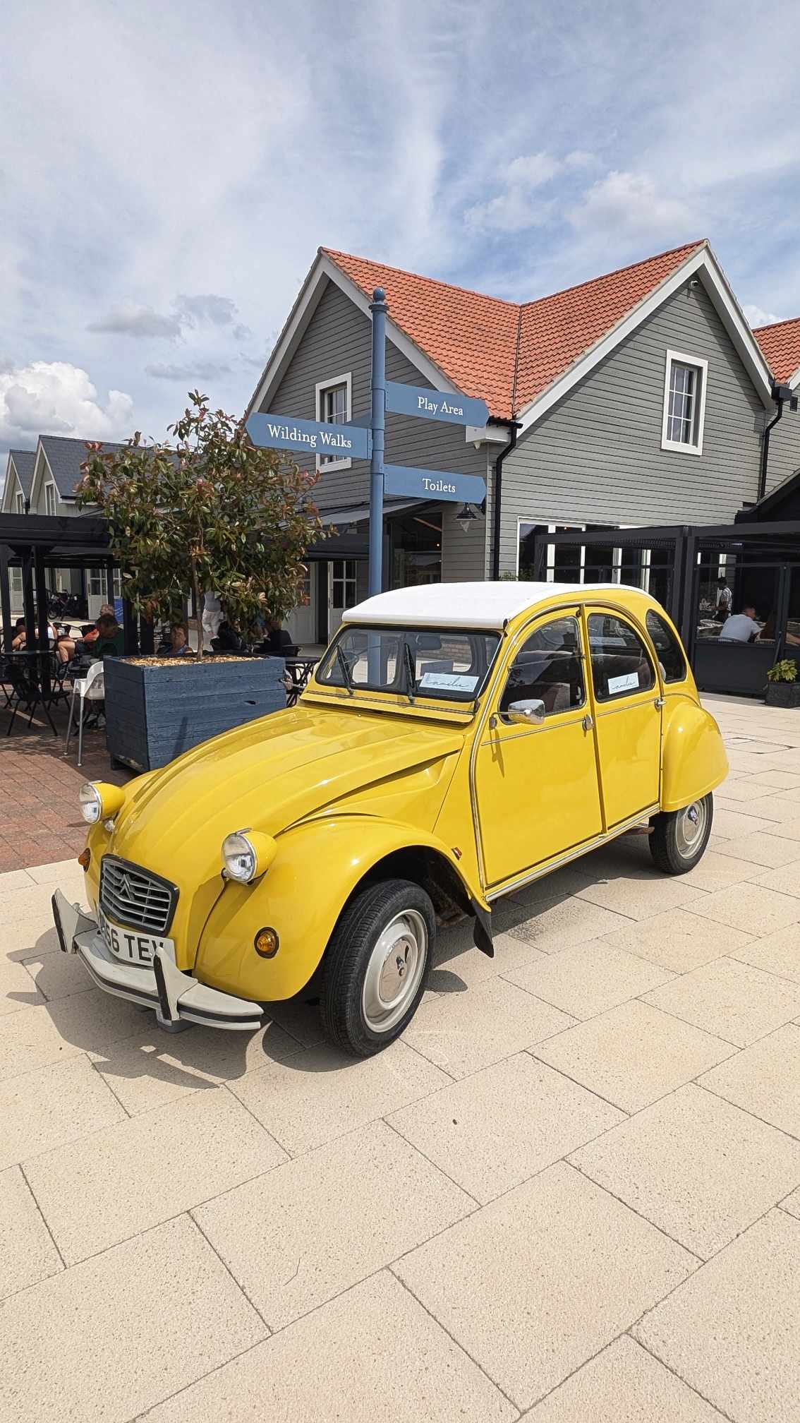 Amelie @ Ben’s Yard