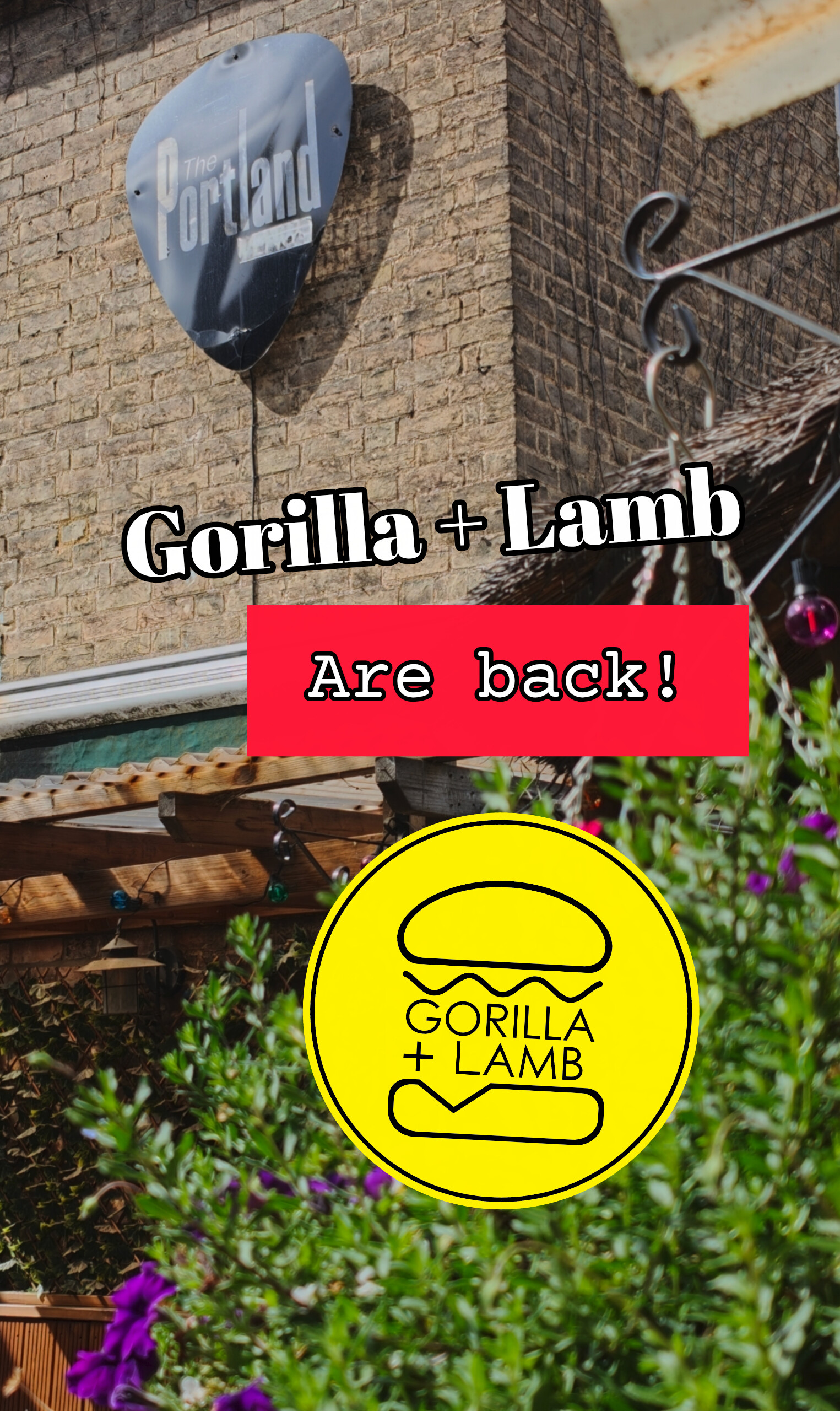 Gorilla + Lamb are back! (At The Portland Arms)